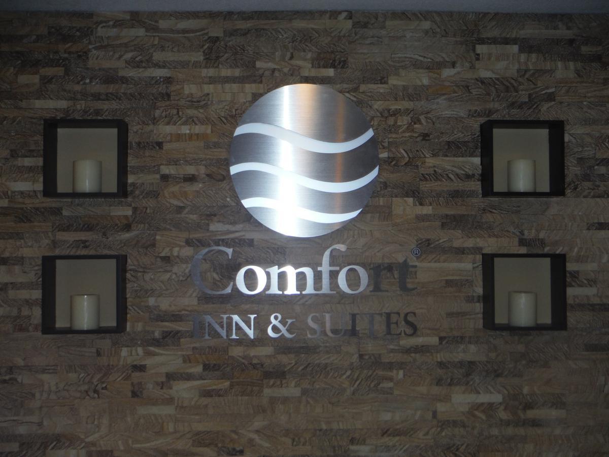 Comfort Inn & Suites - Chisago City Ngoại thất bức ảnh